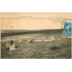 carte postale ancienne 19 PLATEAU DES MILLEVACHES. Bergères et Moutons 1925