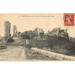 2 cpa 49 CHAMPTOCE. Ruines Château de Barbe-Bleue et Château du Pin 1908