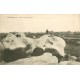 2 cpa Dolmen & Menhirs PLOUMANAC'H et CARNAC. Rochers dans Champs et Alignements Ménec 1908