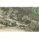 4 cpa 77 FONTAINEBLEAU. Dame-Jeanne, Tête de Chien, Caverne Brigands, Rochers en Forêt