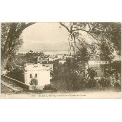 carte postale ancienne 20 AJACCIO. A travers les Oliviers du Casone 1918