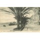 6 cpa 06 NICE. Square Municipal, Promenade Midi et Anglais, Port, Jetée Monument Centenaire