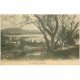 carte postale ancienne 20 AJACCIO. Les Oliviers 1911