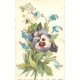 10 cpa FANTAISIES Femme Fillette Transports Fleurs Carracci Poilu Fer à cheval