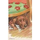 5 cpa Animaux PÊCHES CAPITAUX. L'Avarice, l'Orgueil, la Gourmandise, Curiosité et l'Envie CHIENS et CHATS