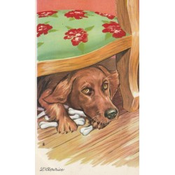 5 cpa Animaux PÊCHES CAPITAUX. L'Avarice, l'Orgueil, la Gourmandise, Curiosité et l'Envie CHIENS et CHATS