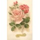 LOT 10 cpa série FLEURS Bonne année et joyeuses fêtes...