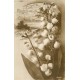 LOT 10 cpa série FLEURS Bonne année et joyeuses fêtes...