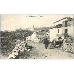 carte postale ancienne 20 CORSE. Calacuccia. Une Rue du Village