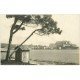 carte postale ancienne 20 CORSE. Calvi. Panorama vu de la Plage. Carte de Luxe LL.