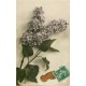 10 cpa FANTAISIES Femmes, Portrait, Fleur, Couple amoureux et angelots Coréens
