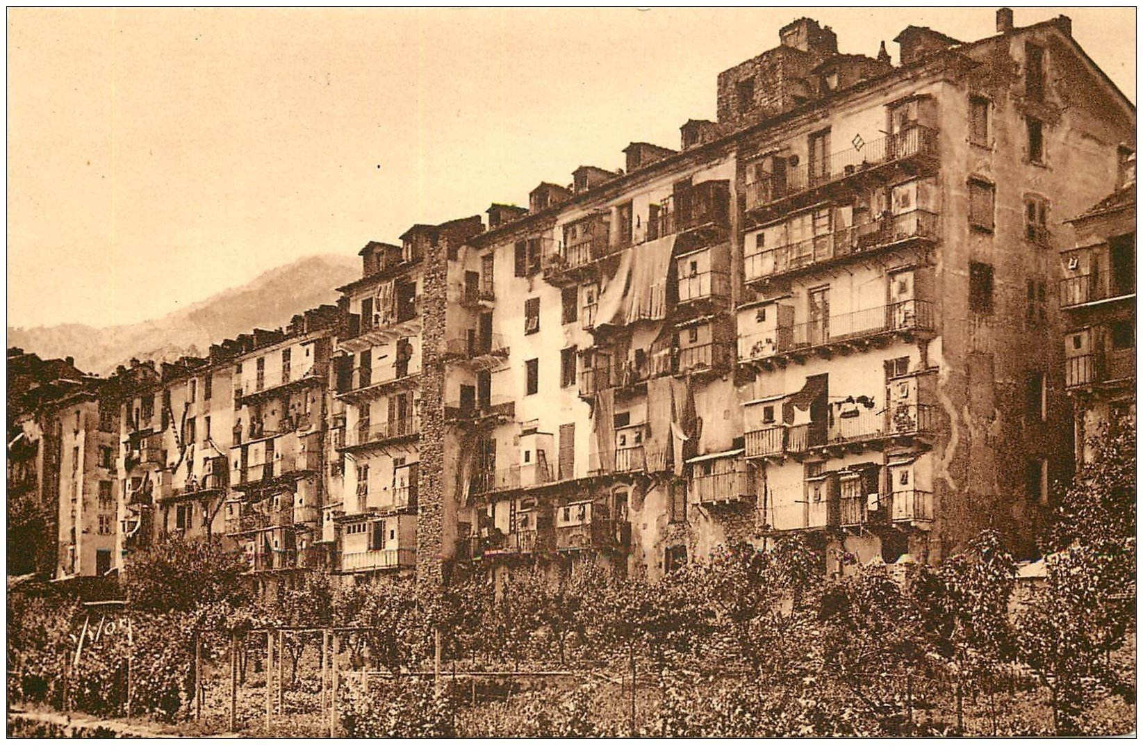 Autres & non classés - CPA Corse Corsica non circulé type