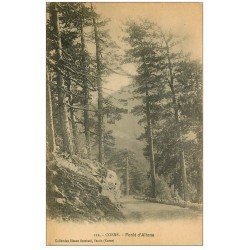 carte postale ancienne 20 CORSE. Forêt d'Aitone