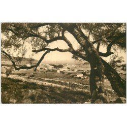 carte postale ancienne 20 CORSE. Ile Rousse. La Ville svue sous les Oliviers