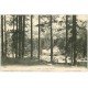 carte postale ancienne 20 CORSE. La Forêt d'Aitone. Antone. Anttone ou Artone