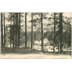 carte postale ancienne 20 CORSE. La Forêt d'Aitone. Antone. Anttone ou Artone