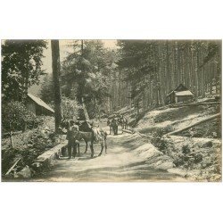 carte postale ancienne 20 CORSE. Piana. La Forêt d'Aïtenne. Carte Photo. Muletiers avec Anes et Mules