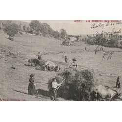 12 RODEZ. La Rentrée des foins avec paysans et attelages de boeufs 1903