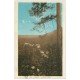 carte postale ancienne 20 CORSE. Vizzavona 1939