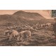 63 LE PUY-DE-DÔME. Pastorale troupeau de Moutons et Berger en route vers les Sommets 1931