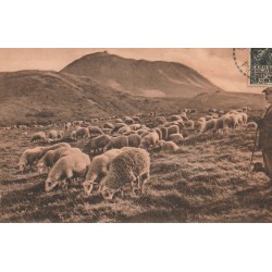 63 LE PUY-DE-DÔME. Pastorale troupeau de Moutons et Berger en route vers les Sommets 1931
