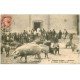 carte postale ancienne 20 ZILIA. La Bénédiction des Cochons 1910