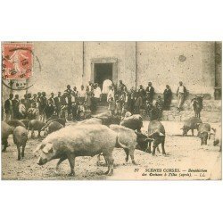 carte postale ancienne 20 ZILIA. La Bénédiction des Cochons 1910