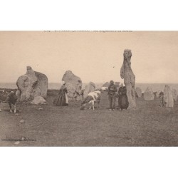 56 SAINT-PIERRE-QUIBERON. Les Alignements du Moulin. Paysans et Vaches. Dolmens et Menhirs