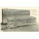 carte postale ancienne 21 ALESIA. Deux Sarcophages