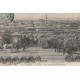 13 MARSEILLE. La Joliette un Chantier de débarquement avec attelages et bateaux 1904