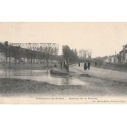 60 CREVECOEUR-LE-GRAND. La Mare Avenue de la Prairie animation 1904