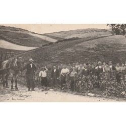 89 CHABLIS. Vaudésir les Vendanges 1923 attelage vendangeurs vignes et vins