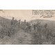 36 EN BERRY. Les Vendanges avec vendangeurs, vignes et vins 1929