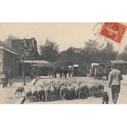 93 PANTIN. La Barrière avec troupeau de moutons à l'octroi de Paris 1915