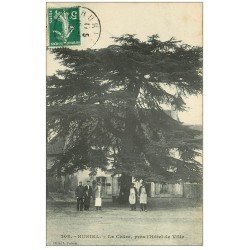 carte postale ancienne 03 HURIEL. Le Cèdre près Hôtel de Ville 1909