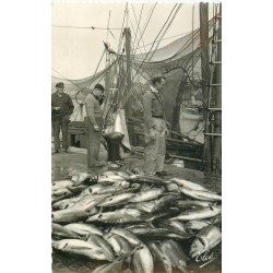 85 LES SABLES D'OLONNE. Les Thons sur le Quai 1957