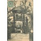 4 cpa 92 LE PLESSIS ROBINSON. Gros Châtaignier, Promenade à âne, vrai Arbre et Restaurant Marronniers 1906