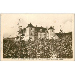 carte postale ancienne 21 CHATEAU DU CLOS VOUGEOT près de Nuits-Saint-Georges et ses Vignes et Voignobles