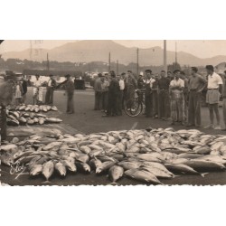 64 SAINT-JEAN-DE-LUZ. Au Port vente de Poisson à la Criée 1954