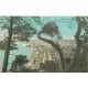 6 cpa NICE. Casino Bazar Parisien, Baie des Anges, Port Mont Boron, Pins Château, Promenade Anglais et Jetée