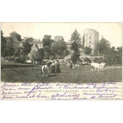 21 CHAUDENAY LE CHATEAU 1903. Chasseur, Elegantes et Vaches dans les Prés