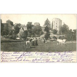 carte postale ancienne 21 CHAUDENAY LE CHATEAU 1903. Chasseur, Elegantes et Vaches dans les Prés