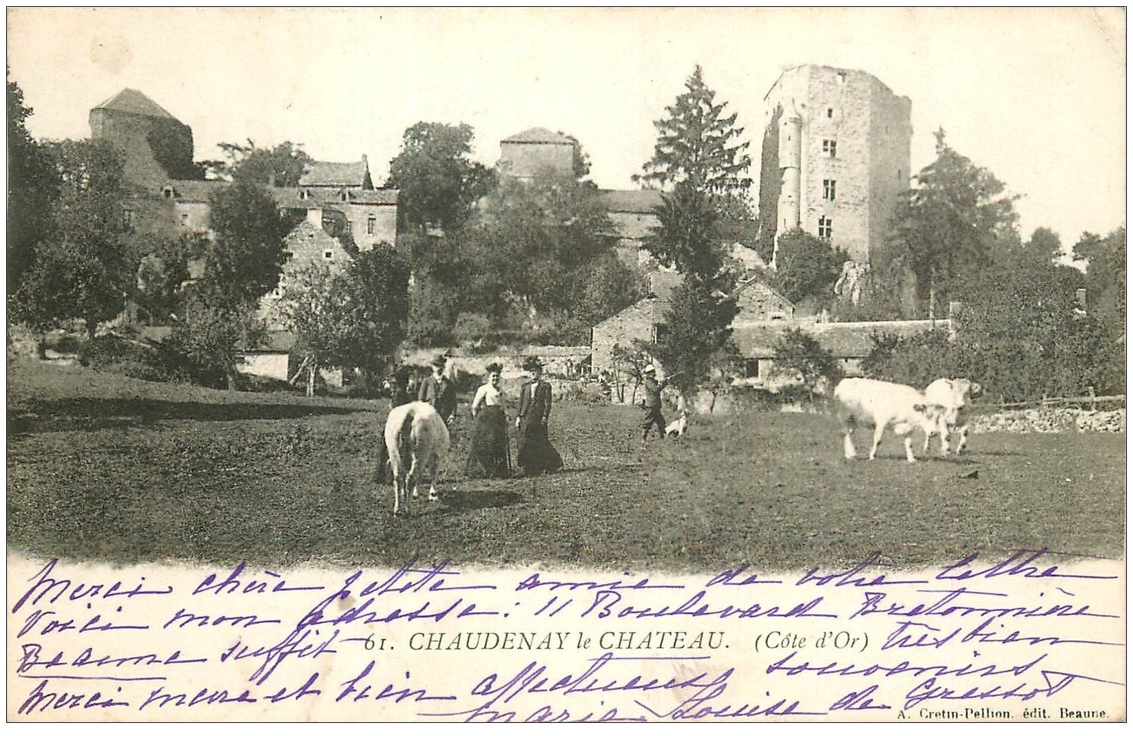 21 CHAUDENAY LE CHATEAU 1903. Chasseur, Elegantes et Vaches dans les Prés