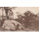 A.O.F Côte d'Ivoire BOUAKE. Un chasseur d'Eléphant