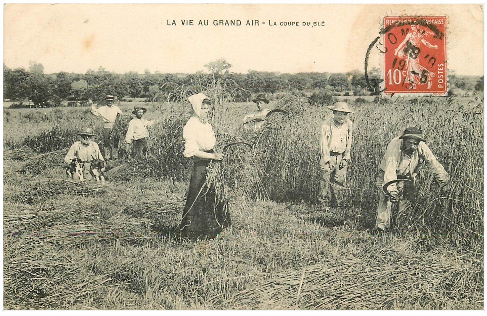 carte postale ancienne 03 La coupe du blé à la main 1913. Paysans et métiers de la Campagne