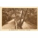 3 x cpa 63 CHÂTEL-GUYON. Théâtre av Baraduc, Etablissement Thermal Castel Régina et Parc