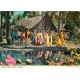 SINGAPORE Singapour Malay Village Wedding 1973