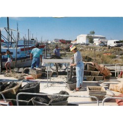 85 AIGUILLON-SUR-MER. Mise des nourrins petites moules en boudins 1992