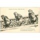 carte postale ancienne 21 DIJON. Gargouilles de Notre-Dame. L'Isolement