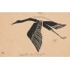 Illustrateur Roy. Escadrille des Cigognes